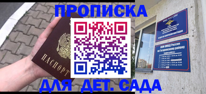 прописка гарантия в Светлогорске